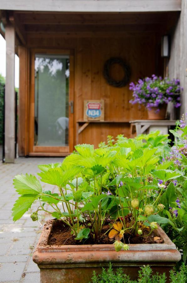 B&B De Bedstay met zwembad en sauna Dalen Buitenkant foto